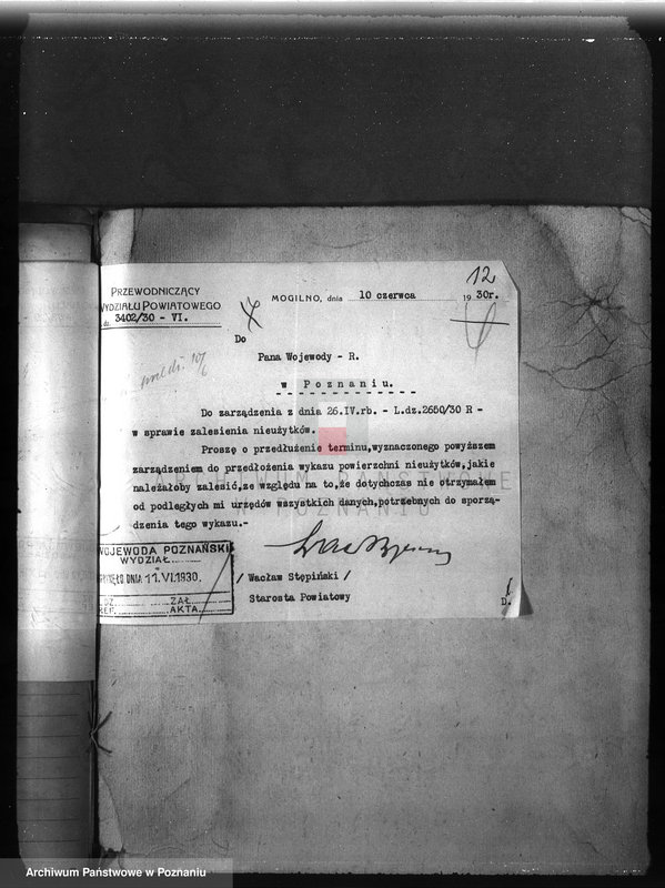 Obraz 16 z jednostki "Zalesienie nieużytków w powiecie mogileńskim"