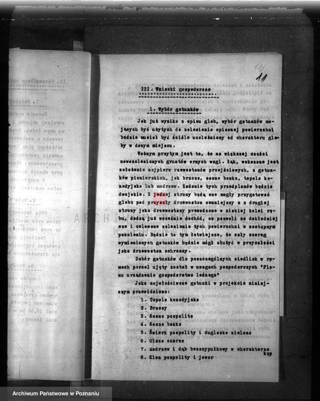 Obraz 15 z jednostki "Dodatkowy plan gospodarstwa leśnego majątku Niemierzewo powiatu międzychodzkiego 1938-1948"