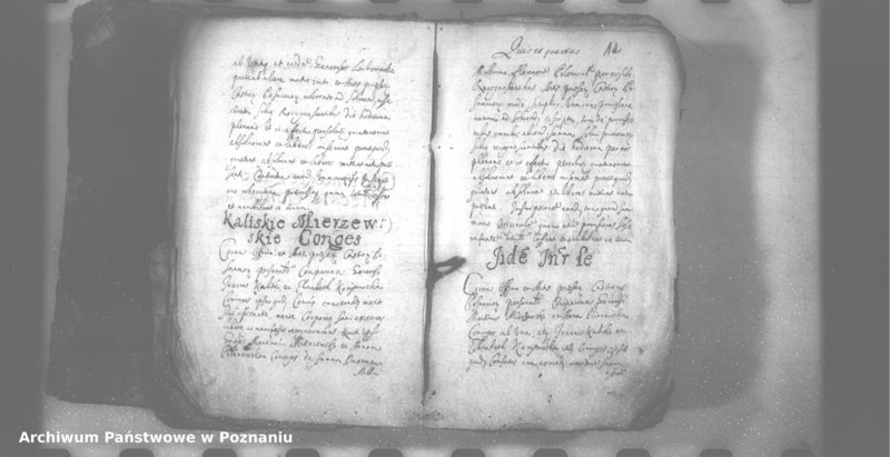 Obraz 7 z jednostki "Relationes [protocollon]"