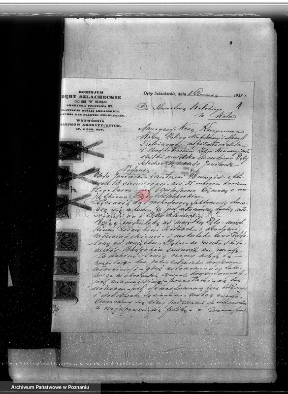 Obraz 5 z jednostki "Sprawy zmiany rodzaju użytków 18,66 ha gruntów leśnych w majątku Dęby-Szlacheckie powiatu kolskiego"