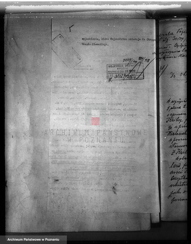 Obraz 9 z jednostki "Majętność leśna w Kwilczu w powiecie międzychodzkim"