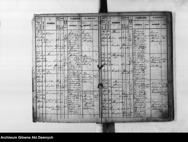 image.from.unit.number "Parafia: Białogóra (Weissenberg). Dekanat: Gródek Jagielloński. Księga metrykalna urodzeń dla całej parafii."