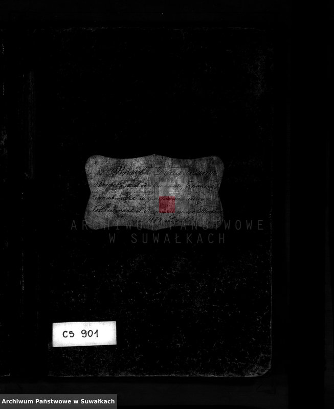 image.from.unit.number "Kniga Duplikat Aktov o Rodivšichsja Brakosočetavšichsja i Umeršich lic Lozdzejskago R.Katoličeskago Prichoda za 1884 god"