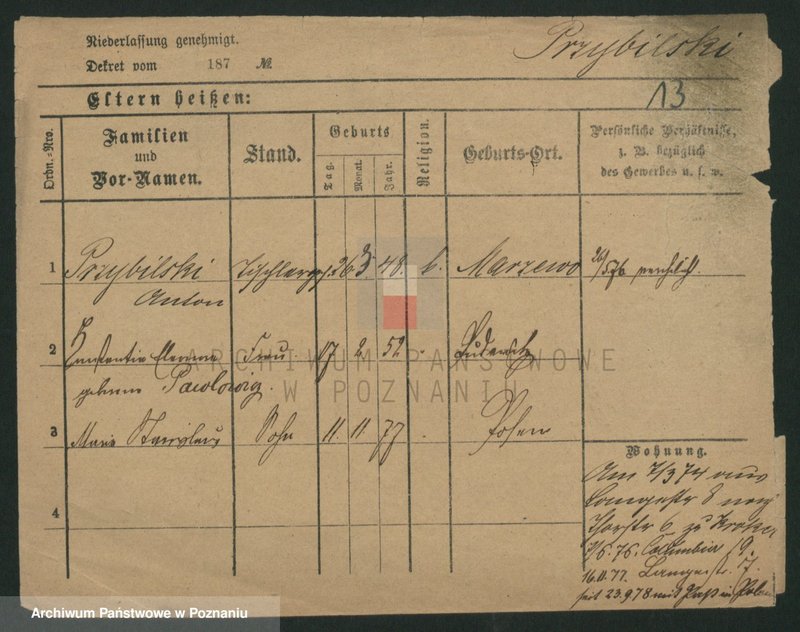 Obraz 15 z jednostki "Przybylski (żonaci - samotni mężczyźni do Gustaw)"