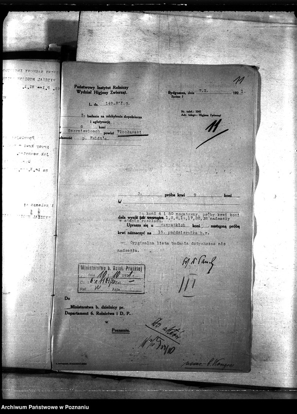 Obraz 15 z jednostki "Nosacizna - b. Kongresówka"