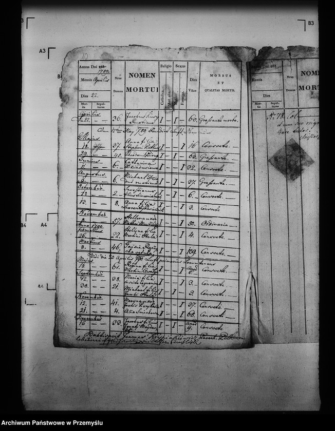 image.from.unit.number "[Kopie ksiąg metrykalnych parafii Pełkinie z filiami Wierzbna, Wólka Pełkińska (dekanat Jarosław)]"