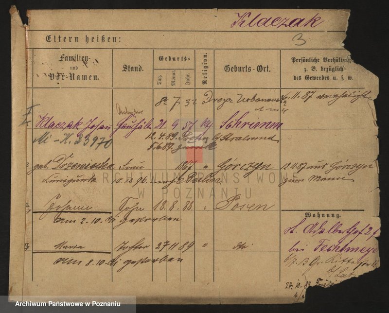 Obraz 3 z jednostki "Kla - Klajne (Klei..)"