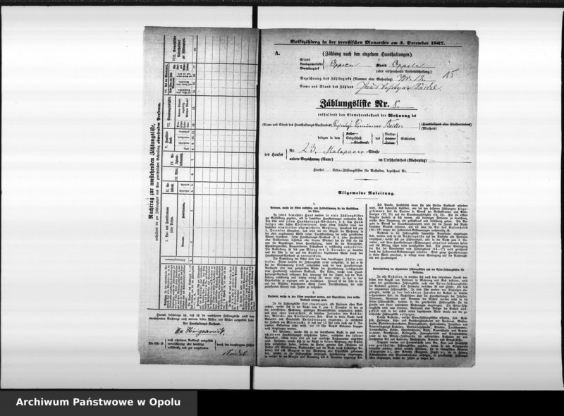 Obraz 20 z jednostki "[Okręg spisowy 12 - spis ludności 1867]"