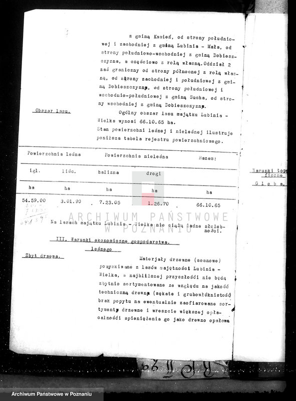 Obraz 11 z jednostki "Nadzór nad gospodarką w lasach majątku Lubinia-Wielka w powiecie jarocińskim"