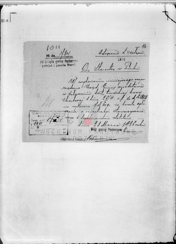 Obraz 20 z jednostki "Gminne Koło Łowieckie w Pęcherzewie powiat turecki"