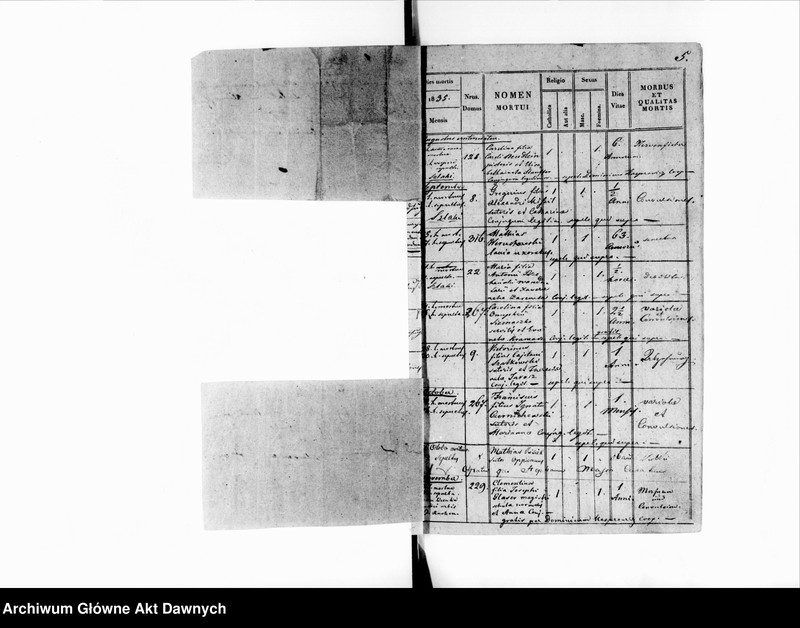 image.from.unit.number "Parafia: Złoczów. Dekanat: Złoczów. Księga metrykalna zgonów tylko dla miasta Złoczów."