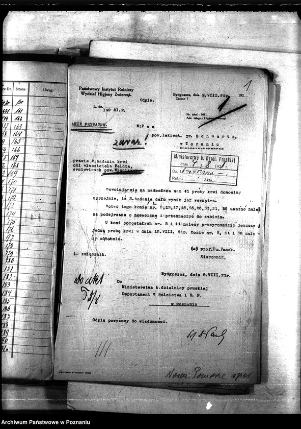 Obraz 5 z jednostki "Nosacizna - b. Kongresówka"