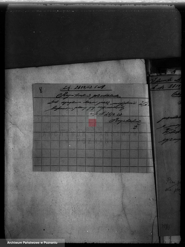 Obraz 10 z jednostki "Majętność Wituchowo w powiecie międzychodzkim"