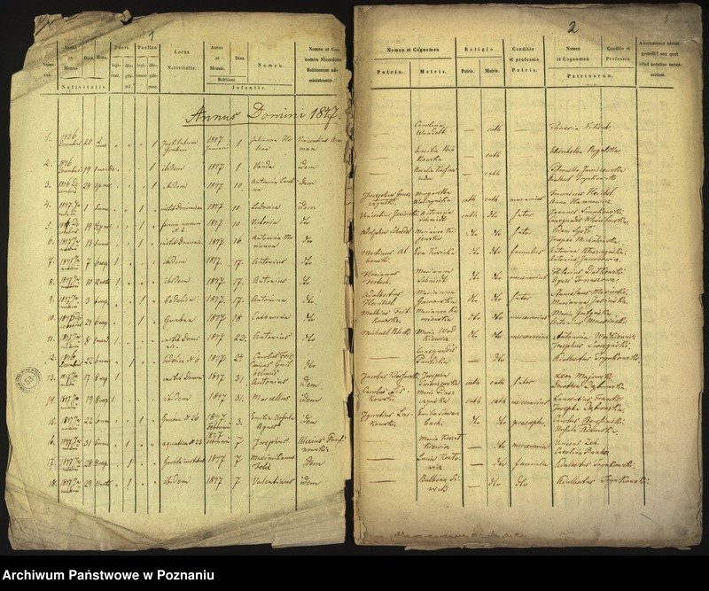 Obraz 3 z jednostki "Księga urodzin"