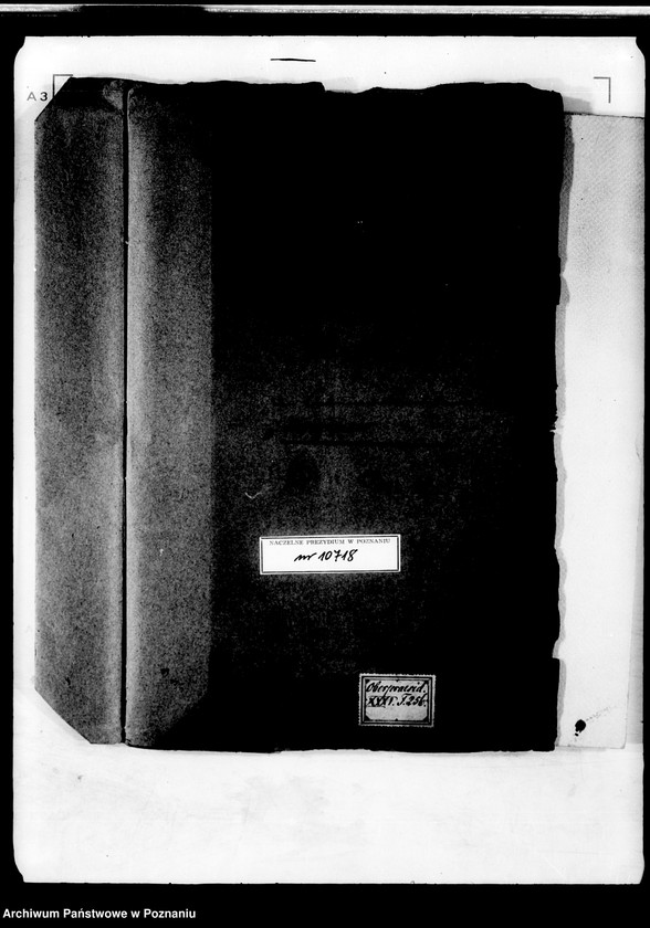 Obraz 4 z jednostki "Akta in Denuntiationssachen wider den Oekonomiekommissarius Wendt zu Wągrowiec."