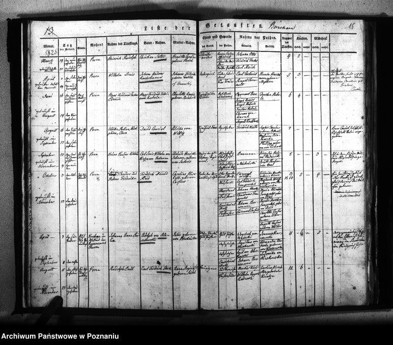 Obraz 16 z jednostki "Kirchenbuch Geborenen"