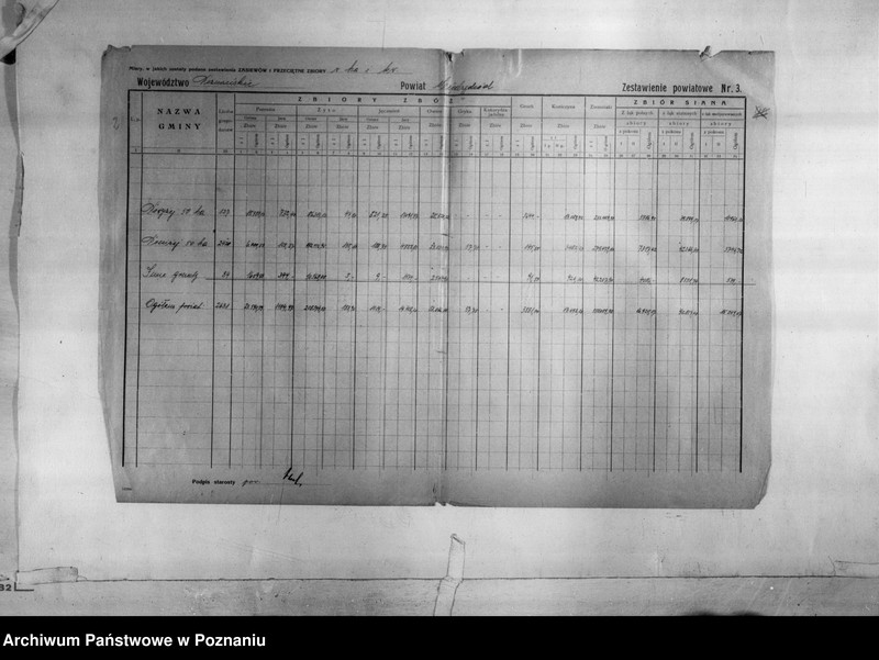 Obraz 4 z jednostki "/Statystyka produkcji rolnej - zestawienie powiatowe - Międzychód/"