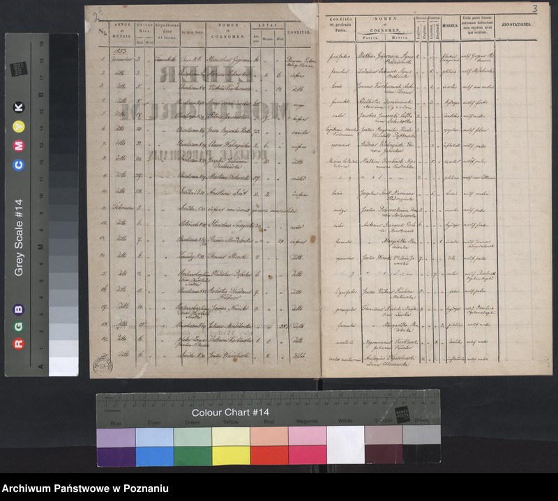 Obraz 4 z jednostki "Księga zgonów"