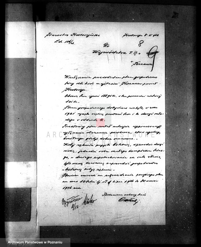 Obraz 13 z jednostki "Majętność leśna Konarzewo powiat krotoszyński"