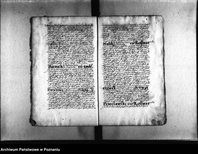 Obraz 9 z jednostki "Decreta [inducta]"