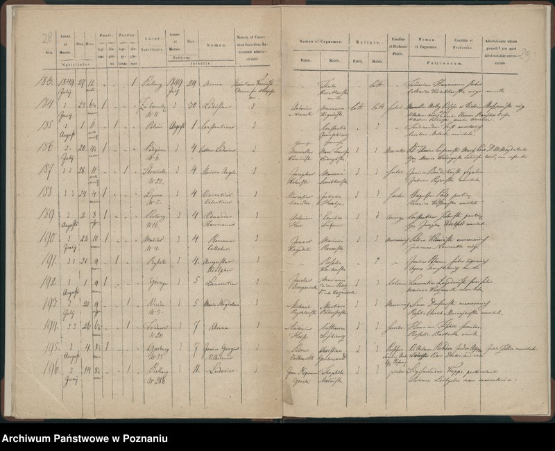 Obraz 17 z jednostki "Księga urodzeń"