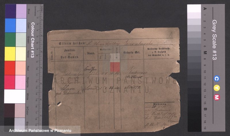 Obraz 1 z jednostki "Jańczakowski - Janiak"