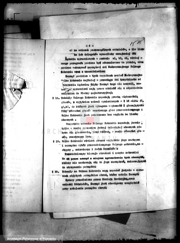 Obraz 19 z jednostki "Wielkopolski Związek Pszczelarski"