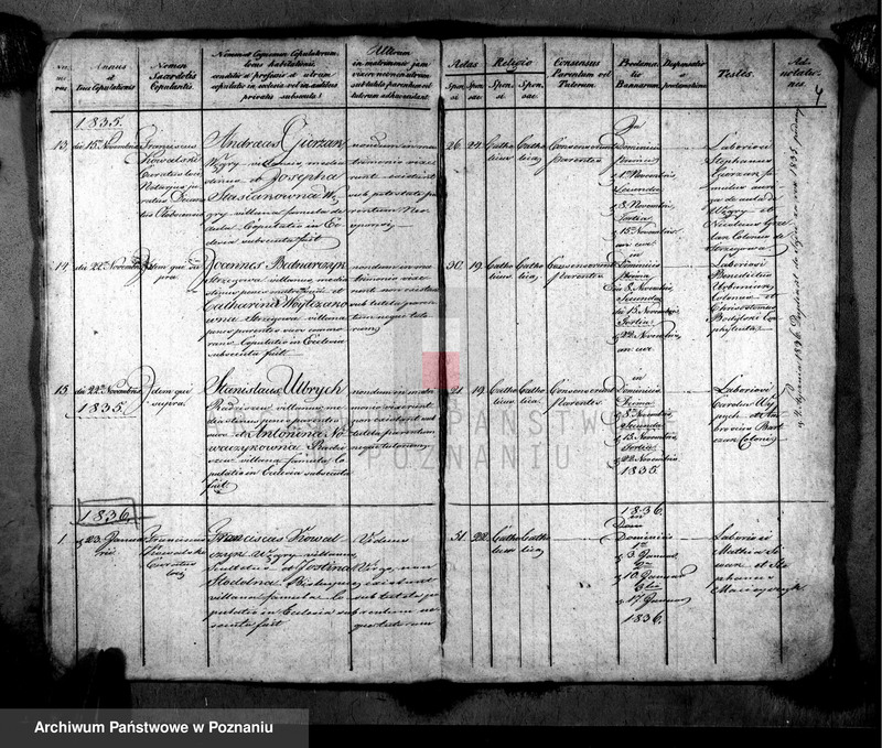 image.from.unit.number "Metrices copulatorum"