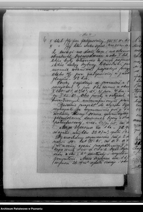 Obraz 10 z jednostki "Sprawa zatwierdzenia uzupełnienia planu gospodarstwa leśnego dla obciążonych służebnościami lasów majątku Biała-Królikowska powiatu konińskiego"