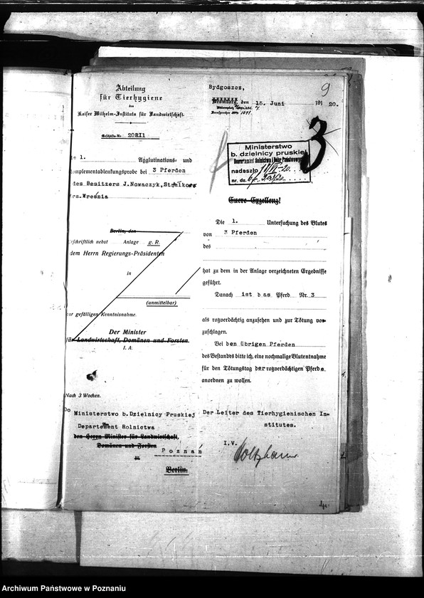 Obraz 13 z jednostki "Nosacizna - Września"