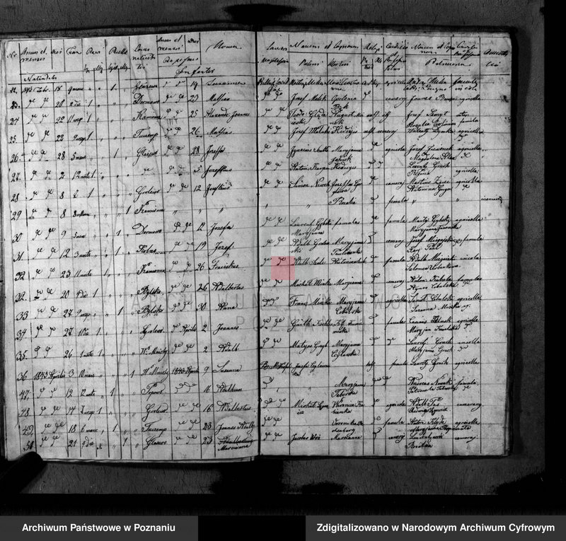 image.from.unit.number "Duplikat baptisatorum, copulatorum, mortuorum"