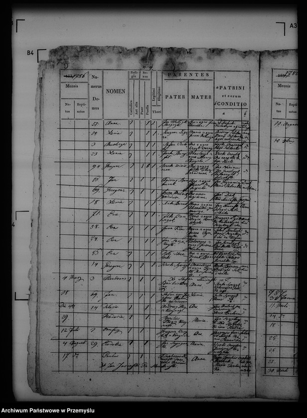 Obraz 9 z jednostki "[Kopie ksiąg metrykalnych parafii Trzcianiec (dekanat Bircza)]"