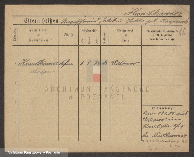 Obraz 16 z jednostki "Handkiewicz - Haniszewski"