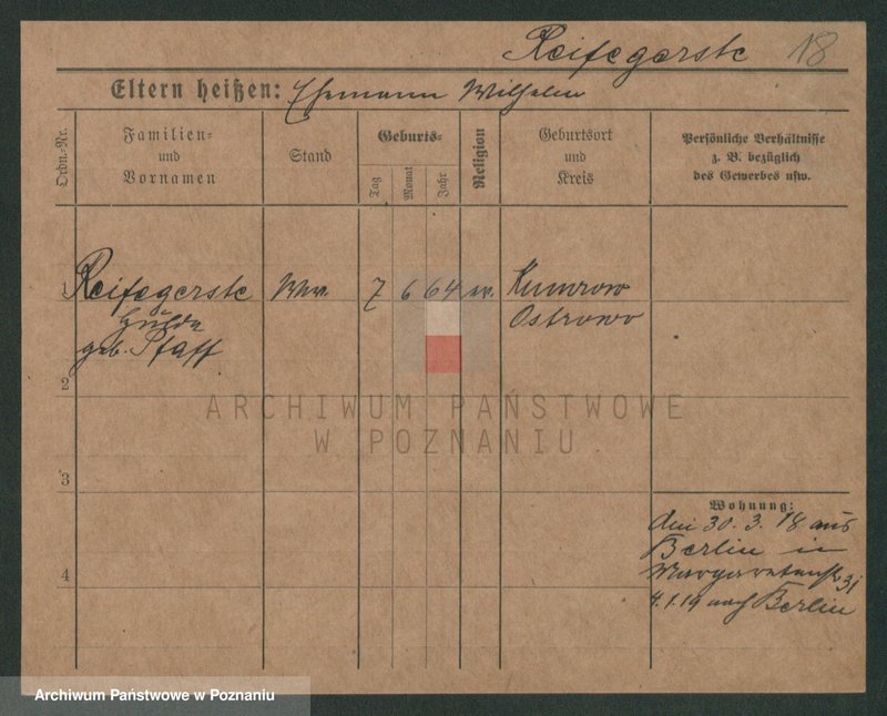 Obraz 20 z jednostki "Rajf - Rajman (Rei...)"