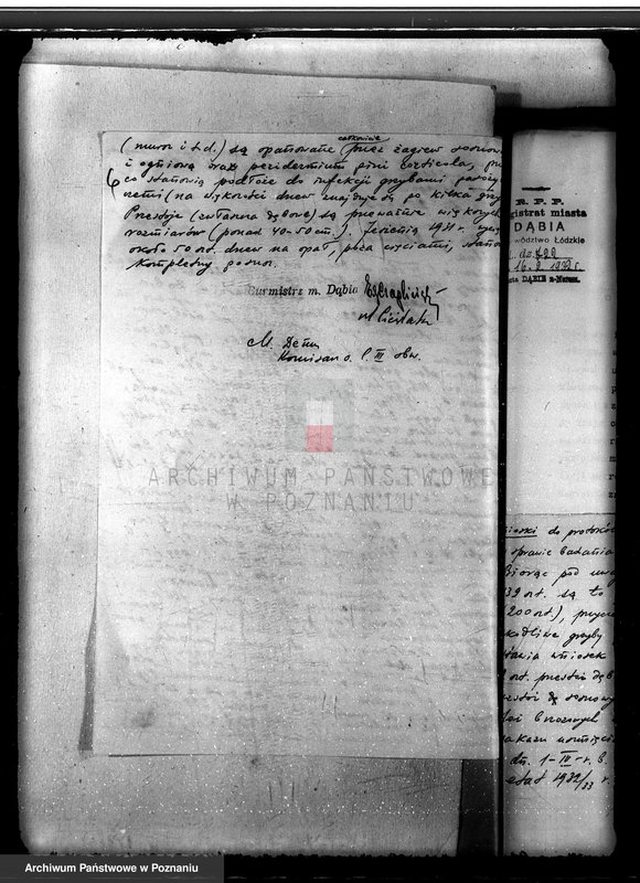 Obraz 10 z jednostki "Lasy miasta Dąbie powiatu kolskiego"