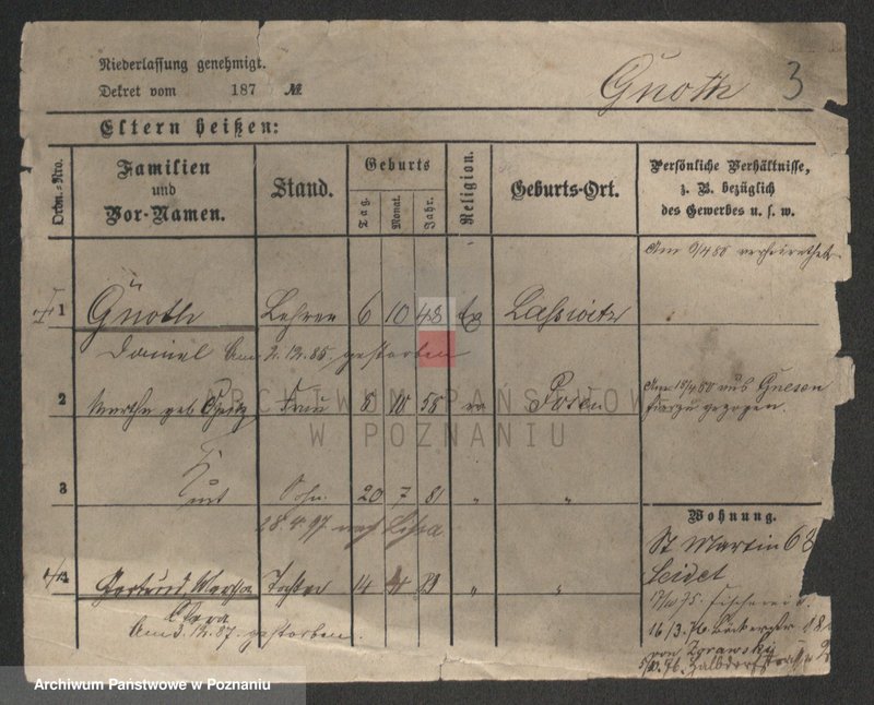 Obraz 5 z jednostki "Gnot - Gogulski"