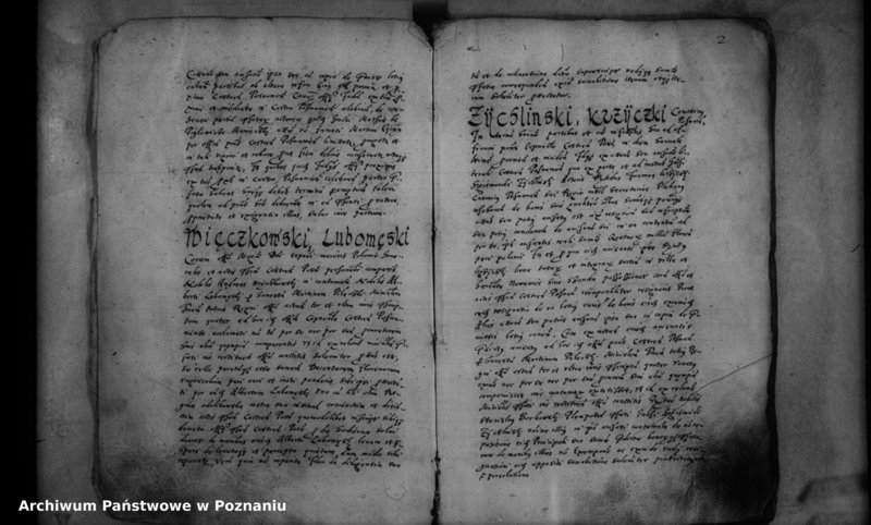 Obraz 5 z jednostki "Inscriptiones [inducta]"