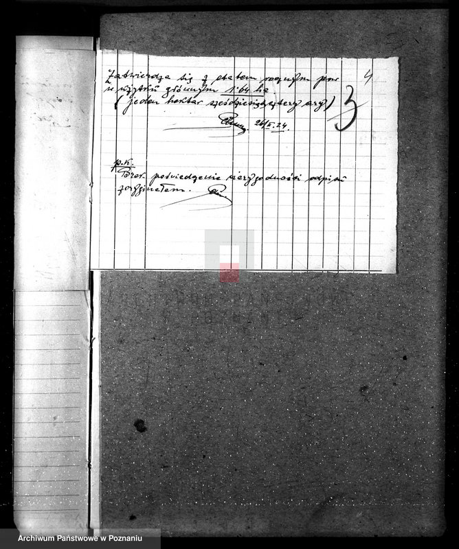 Obraz 8 z jednostki "Nadzór nad gospodarką w lasach majątku Dziadkowo powiecie gnieźnieńskim"