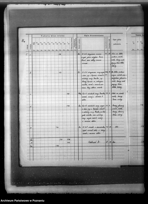Obraz 20 z jednostki "Plan urządzenia gospodarstwa leśnego lasu majątku Strzępiń w powiecie nowotomyskim 1932-1942"