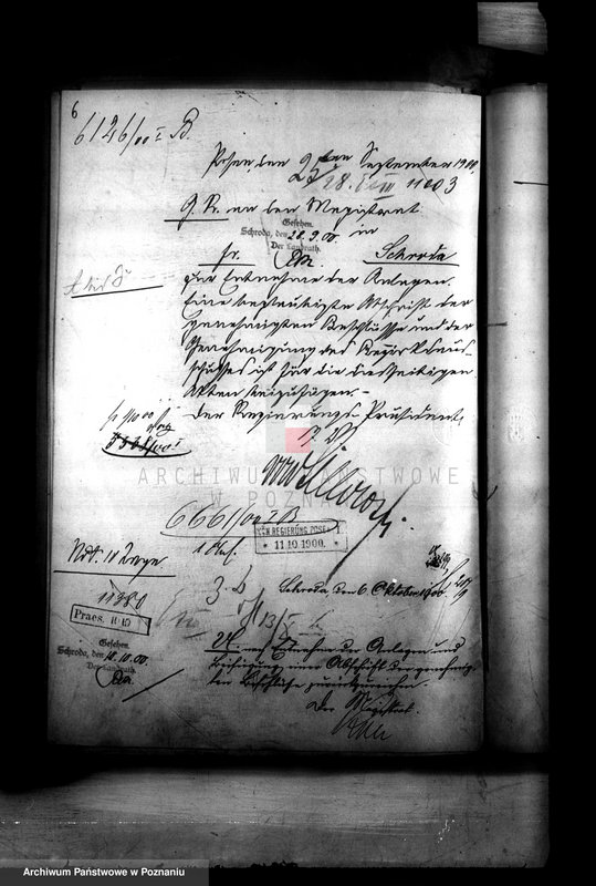 Obraz 9 z jednostki "Urzędnicy Komunalni miasta Środy"