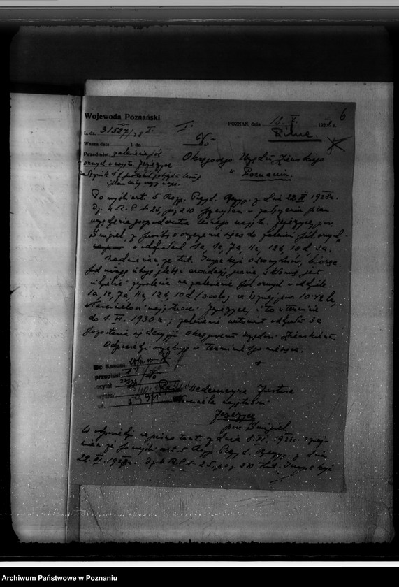 Obraz 10 z jednostki "Nadzór nad gospodarką w lasach majętności Jezierzyce"