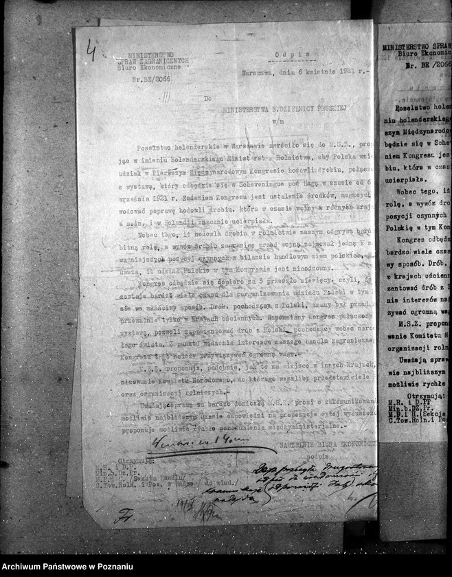 Obraz 8 z jednostki "Sprawy szczegółowo-administracyjne Drobny inwentarz i drób"