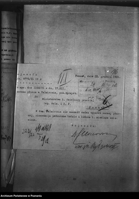 Obraz 20 z jednostki "Zaraza płucna - Bydgoszcz"