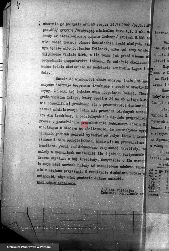 Obraz 8 z jednostki "Las majętności Bieczyny powiat kościański"