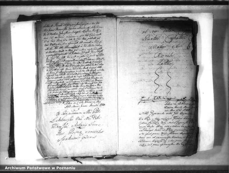 Obraz 10 z jednostki "Relationes [protocollon]"