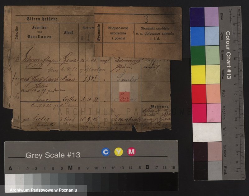 Obraz 9 z jednostki "Szwarc (żonaci i wdowy)"