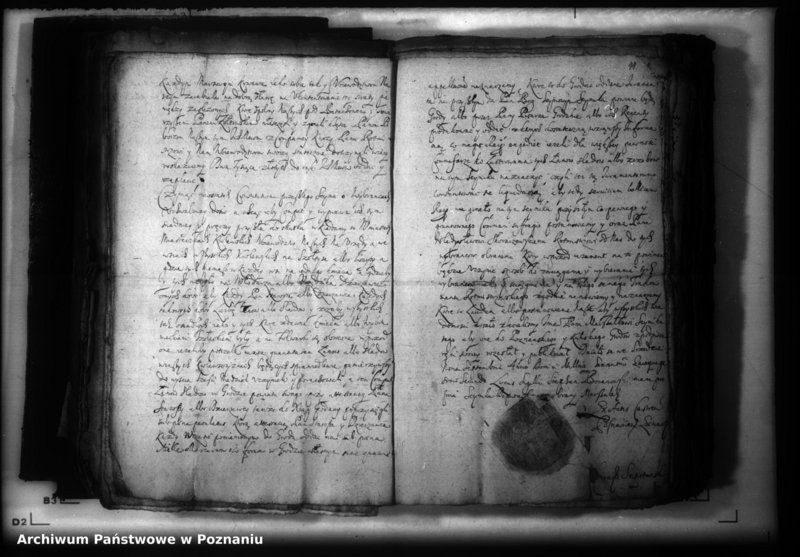 Obraz 14 z jednostki "Lauda [acticantia]"