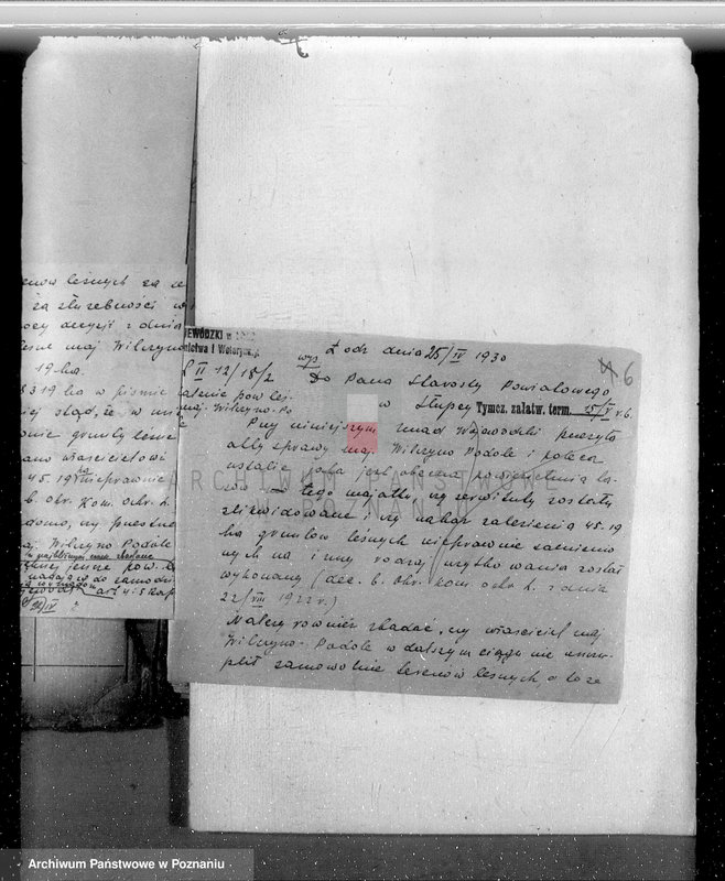 Obraz 11 z jednostki "Ustalenie powierzchni leśnej majątku Wilczyno-Podole powiat słupecki oraz nieprawne wyręby lasu"