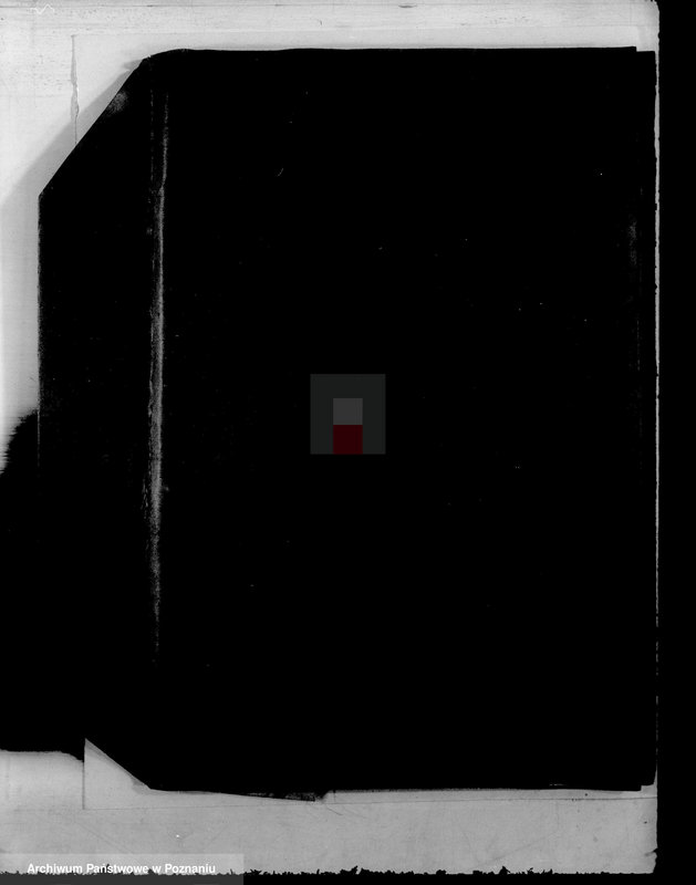 Obraz 4 z jednostki "Administracja miasta Rostarzewa"