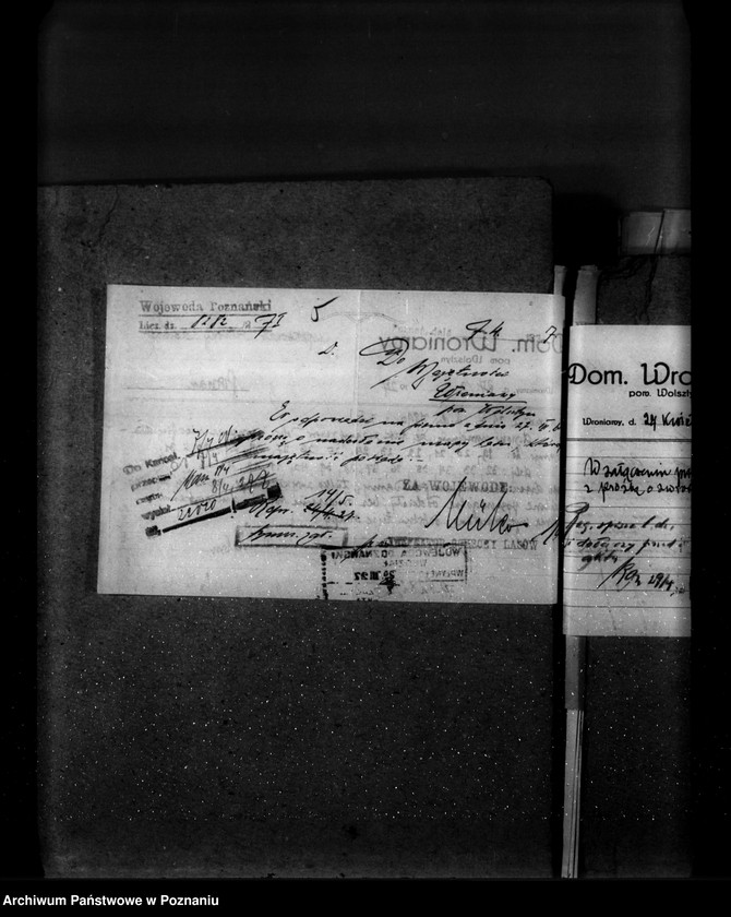 Obraz 9 z jednostki "Majętność leśna Wroniawy powiat wolsztyński"